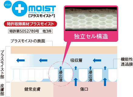 特許取得素材プラスモイスト